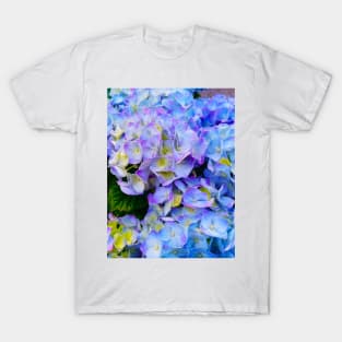 Blue Hydrangea Lovely Photo T-Shirt